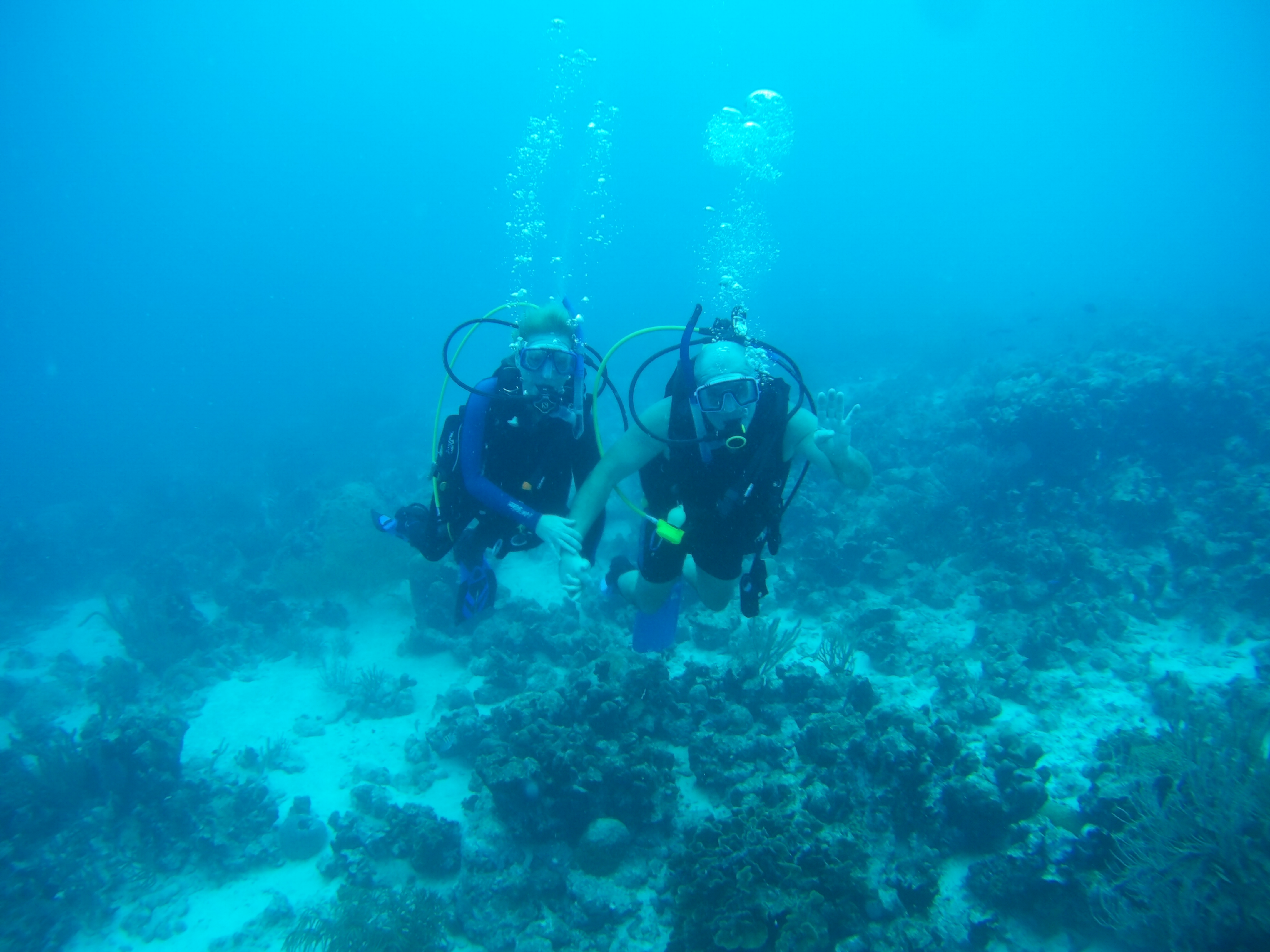 Discover Scuba Diving Pure Diving Aruba
